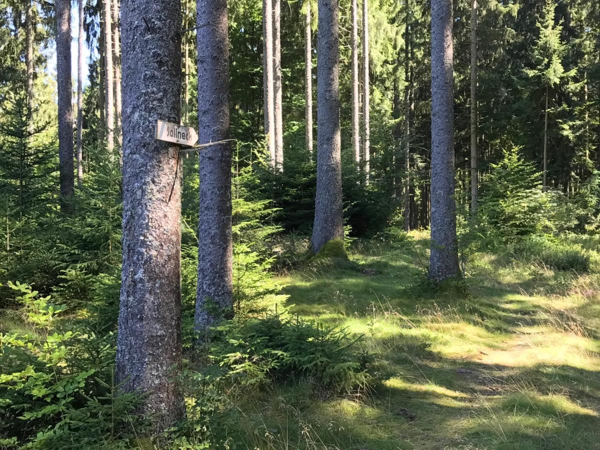 Ferien-Apartment Im Genusshotel Hirschen Kleines Wiesental Kültér fotó